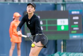 爱游戏官网莎拉波娃连续二十场比赛得分超过锐不可当，中国队不断突破！的简单介绍